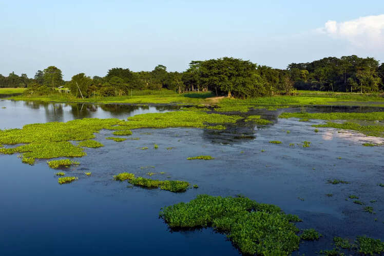 Majuli Island, Assam