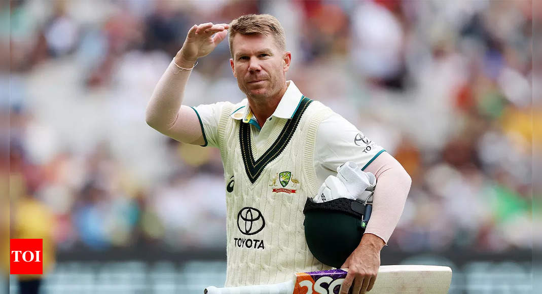 David Warner draws curtain on 12-year Test career