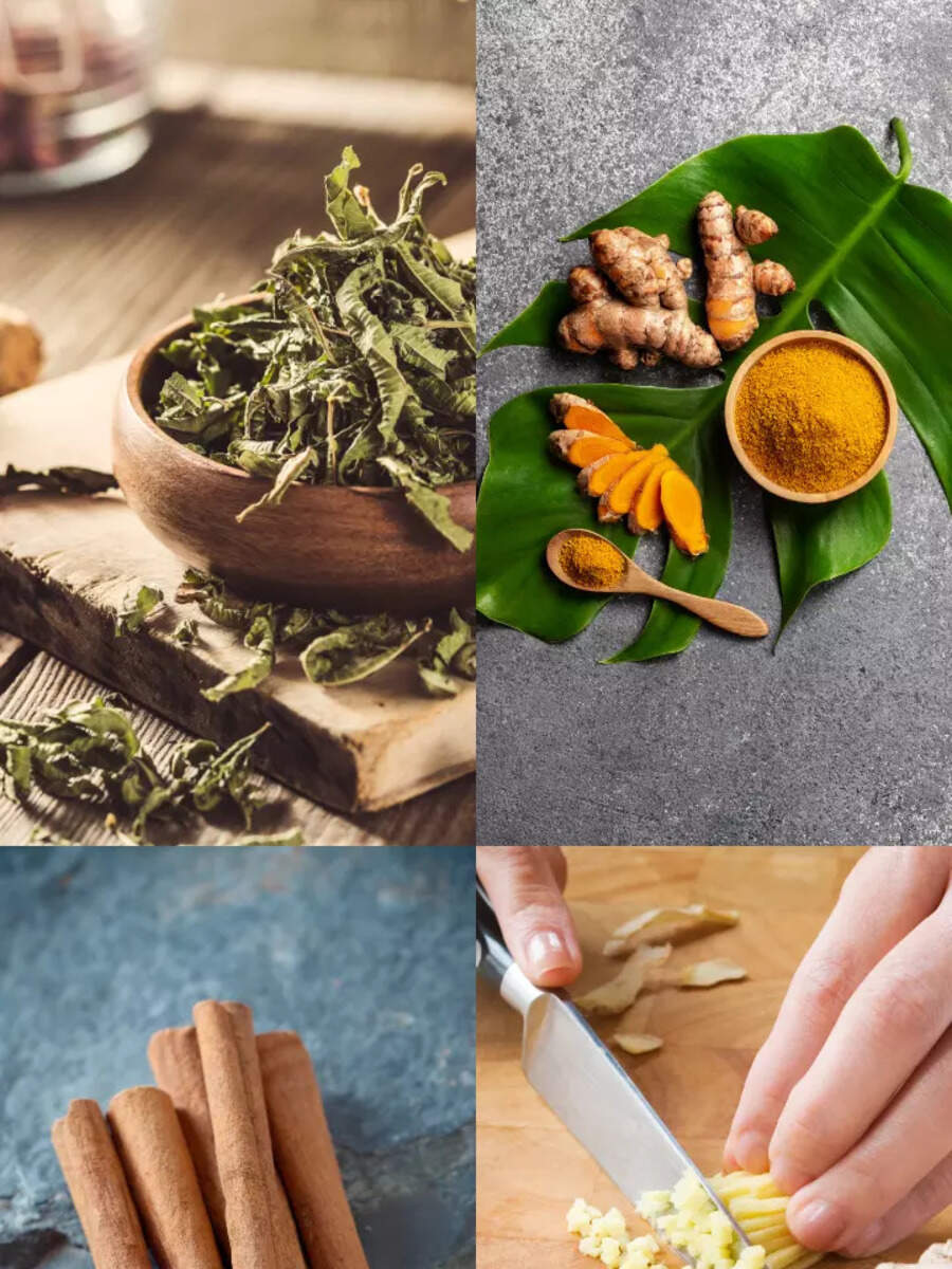 8 herbs to add to your morning routine, and why | Times of India