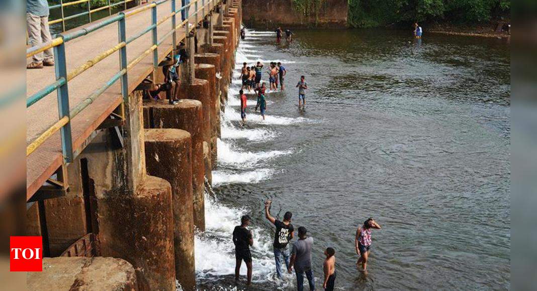 Sal barrage will ensure no water shortage in North Goa from 2025 WRD