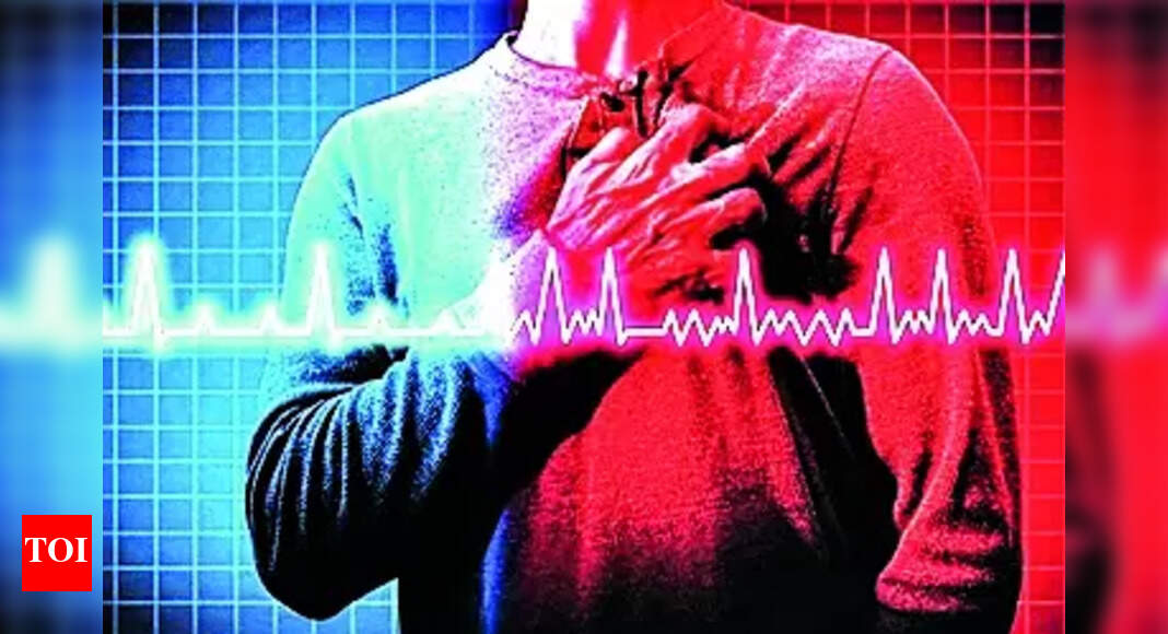 Boy, 16, Dies Playing Cricket, Heart Attack Suspected | Meerut News – Times of India