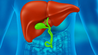 Here's how to keep the liver healthy - Times of India