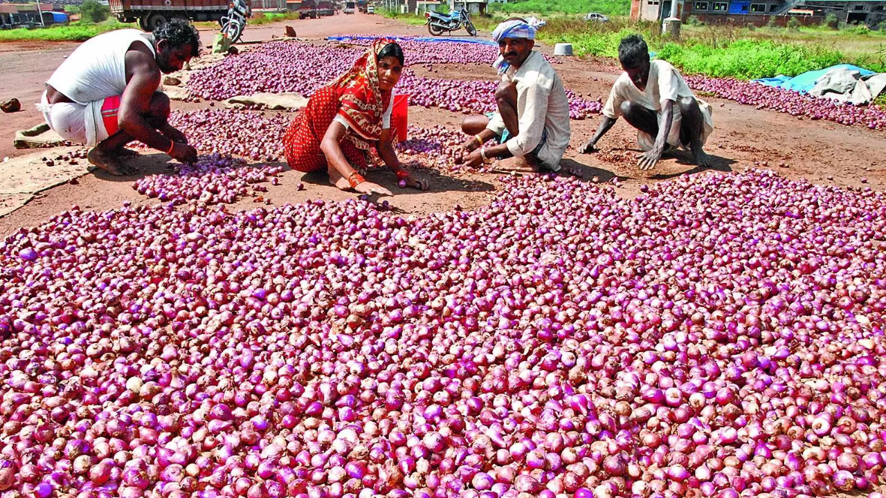 Centre Procures 25k T Kharif Onion for Buffer Stock