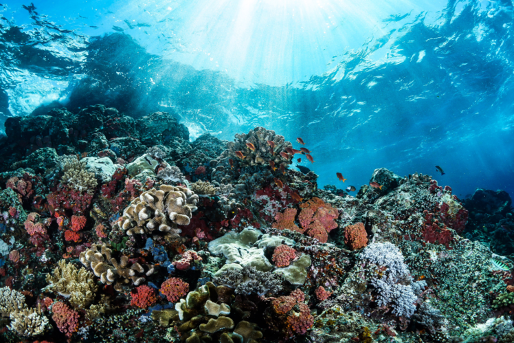 Great Barrier Reef