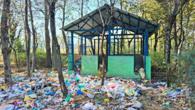 Haryana spends Rs 126 crore to tackle waste mountain in Gurugram & Faridabad