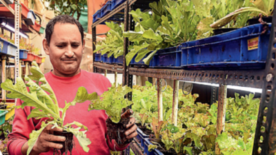 At this home garden, health is a green gain