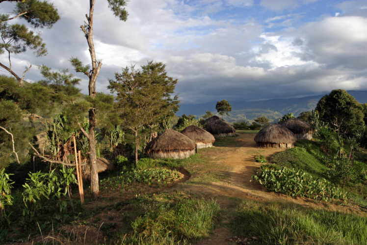 Papua New Guinea