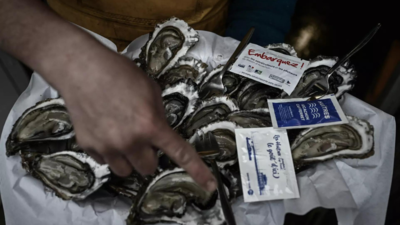 French oyster sales clam up as contamination scare spreads