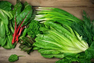 Tips to store green leafy vegetables in winter season