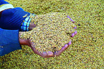 FCI to continue selling grains; wheat stock may be around the buffer norm in April