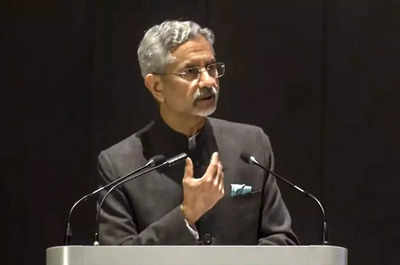 S Jaishankar, Ukraine foreign minister discuss peace formula