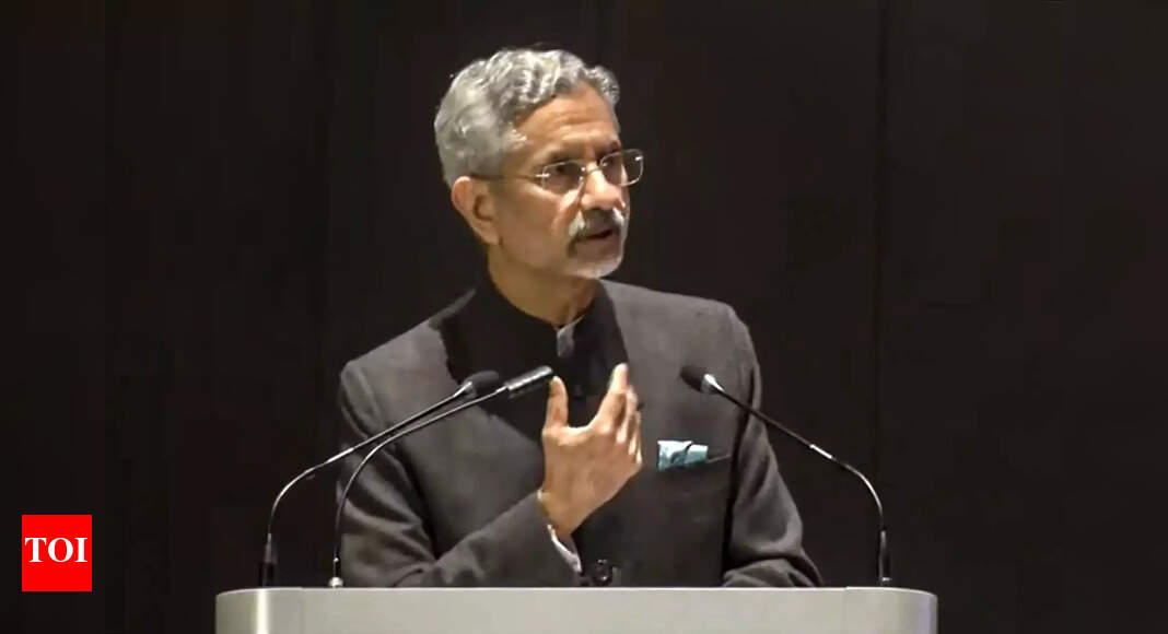 S Jaishankar, Ukraine foreign minister discuss peace formula