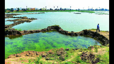 250-acre Madambakkam lake to turn eco-park