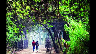 Sky will clear up by weekend, says IMD