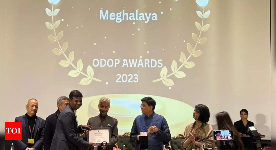 One District One Product Awards 2023: Meghalaya bags accolade for promoting initiative | India News