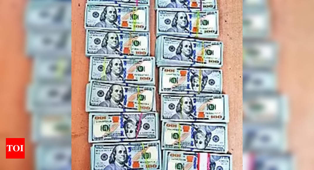 indo-bangla-border-1-4-cr-in-dollars-seized-near-indo-bangla-border