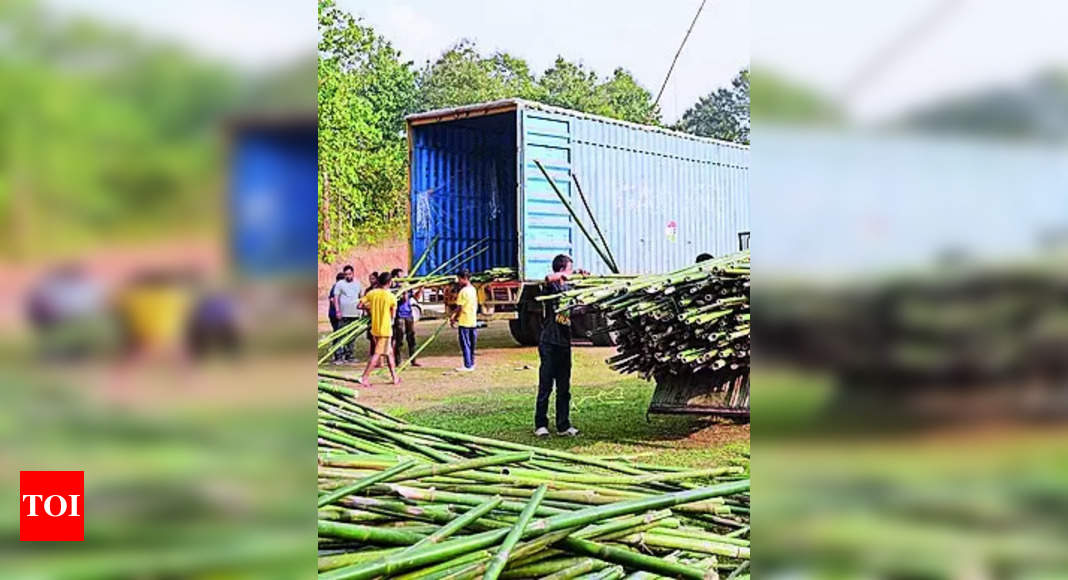 Assam Divyangs: Assam Divyangs Plant Bamboo for Ayodhya: A Historic ...