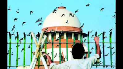 ‘Can’t take terror issues lightly’: Default bail in UAPA case irks SC