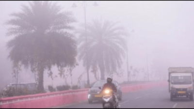 Fog blankets city, disrupts normal life