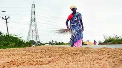 Karnataka traders snap up Telangana paddy stocks for premium