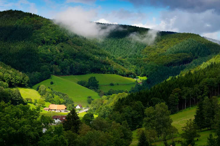 Black Forest, Germany