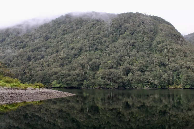 Valdivian Temperate Rainforest, Chile and Argentina