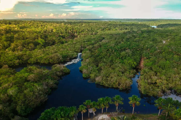 Amazon Rainforest, South America