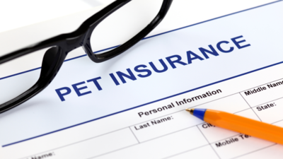 Choosing the Right Pet Insurance - A Smart Guide