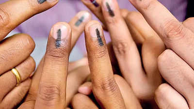 Electoral roll 2024 released: Odisha adds over 7.54 lakh young voters