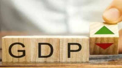 India's GDP growth seen at 6.2% in '24: UN report