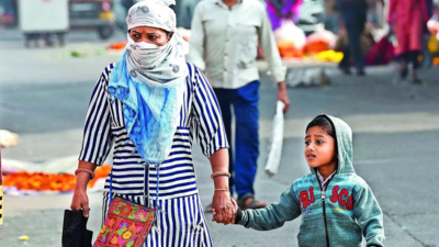 Niphad coldest city in Maharashtra as minimum temperature drops to 11°C