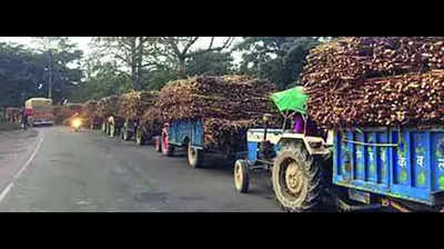 UP mills wary over heavy cane supplies to jaggery units