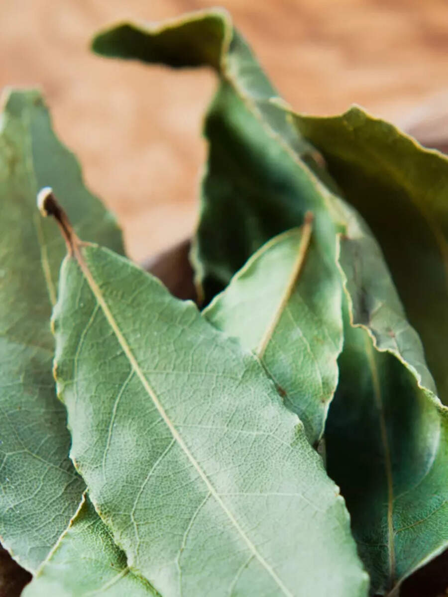 12 benefits of bay leaves you need to know Times of India