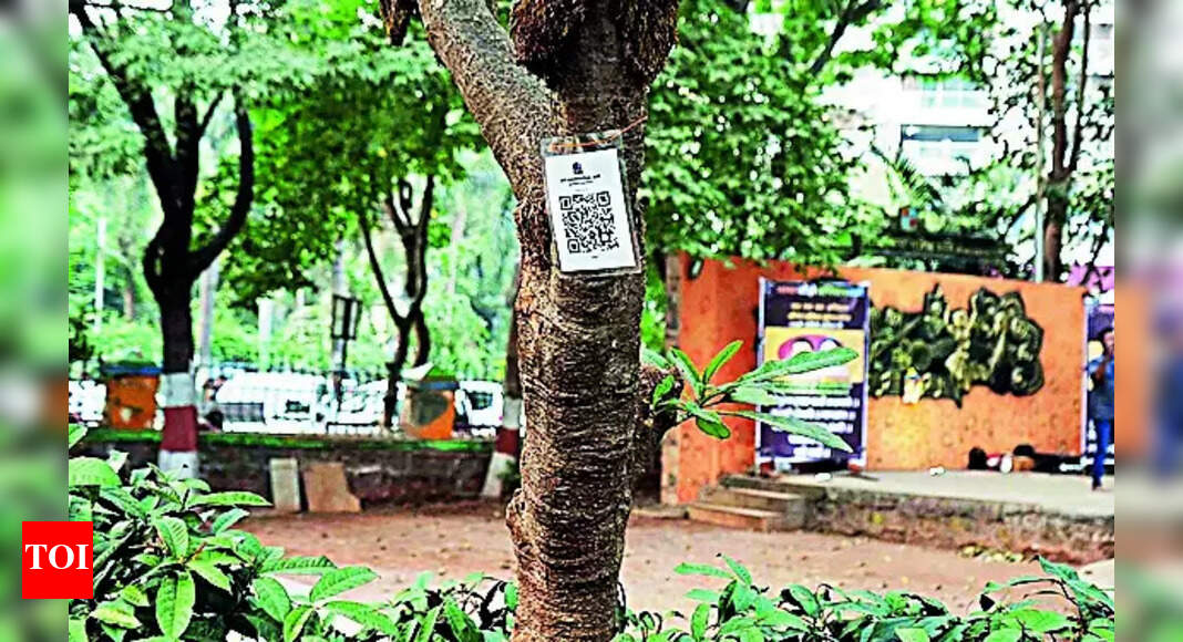 QR Codes: QR Codes on 2,000 Trees in Thane to Provide Biodiversity ...