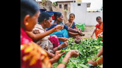 Women opting for organic farming in Pune: Study