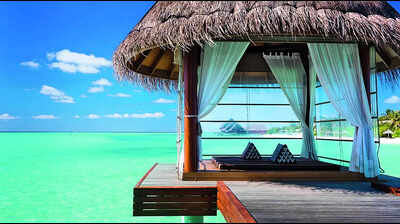 Insta Destination: 'Insta destination' likely to see fewer Indian