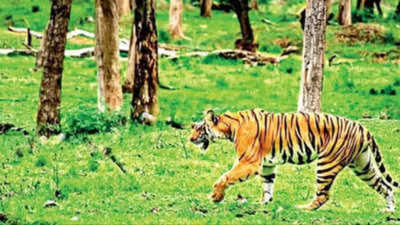 Government of Maharashtra declares new Atpadi Conservation Reserve in Sangli district, to help in conservation of grasslands and wildlife