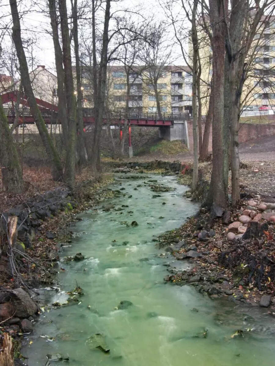 Река вонючая. Поселок москва река. Река вонючая. Вонючая река верещагинка. Река вонючий дунай самара.