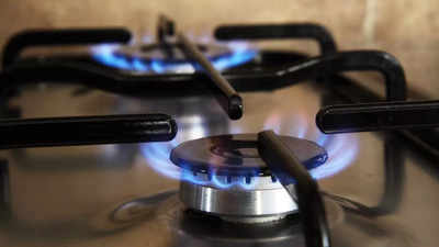 2 Burner Gas Stoves: Buying and Maintenance Guide