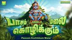 Ayyappa Devotional Songs: Check Out Popular Tamil Devotional Song 'Pasam Kozhikkum Malai' Jukebox
