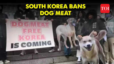 South Korea Makes History: Parliament Passes Ban on Dog Meat Consumption and Trade