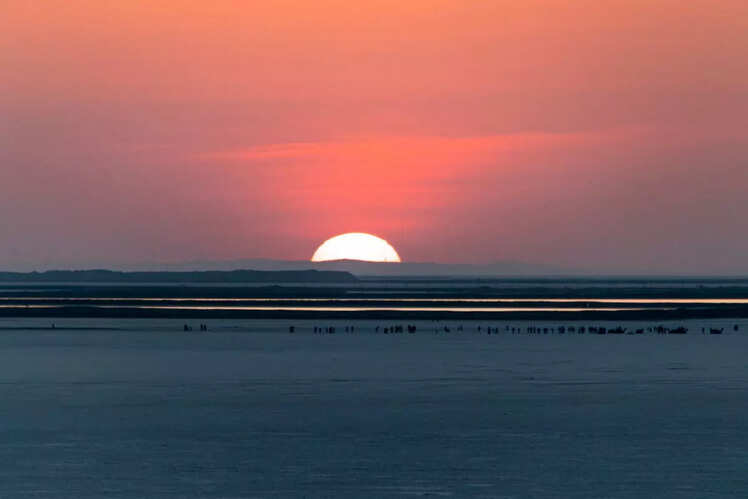 Rann of Kutch, Gujarat