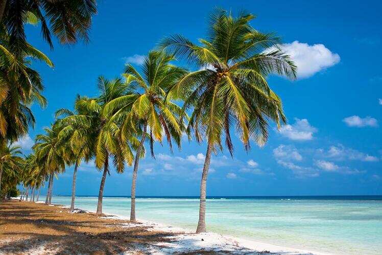 Some Lakshadweep Islands