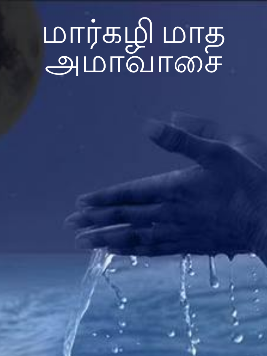 மார்கழி மாத அமாவாசை 2024 | Times Now Tamil