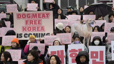 'Cows are living animals too': vendors, customers oppose South Korea's dog meat ban