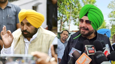 Different views emerge on alliance with AAP in Punjab: Congress's state in-charge