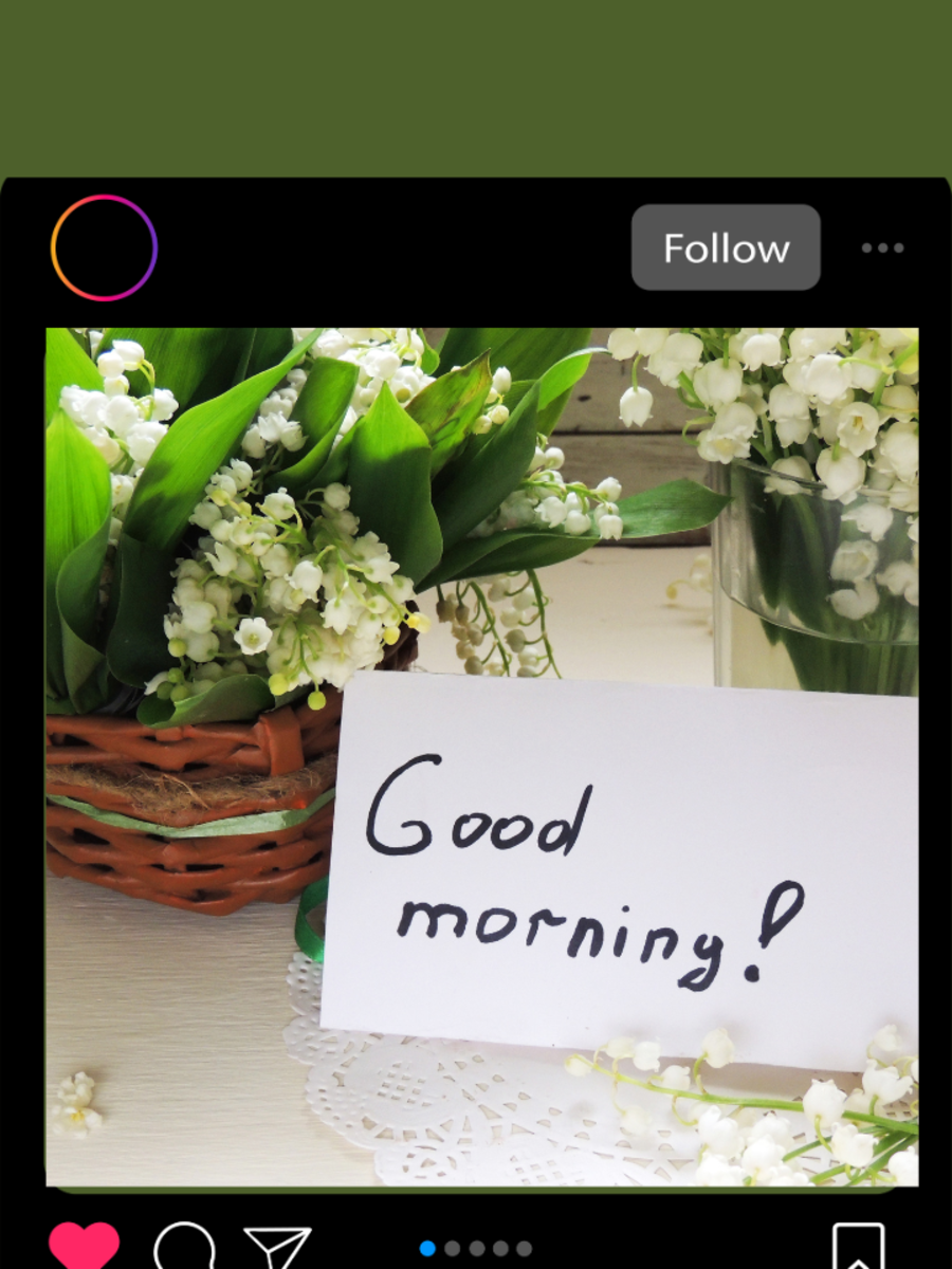 Good Morning Captions And Quotes For Instagram | Times Now