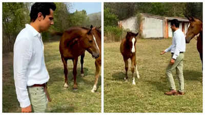 Randeep Hooda enjoys his day with his 'Dream girl' pet horse's baby boy; wife Lin Laishram REACTS