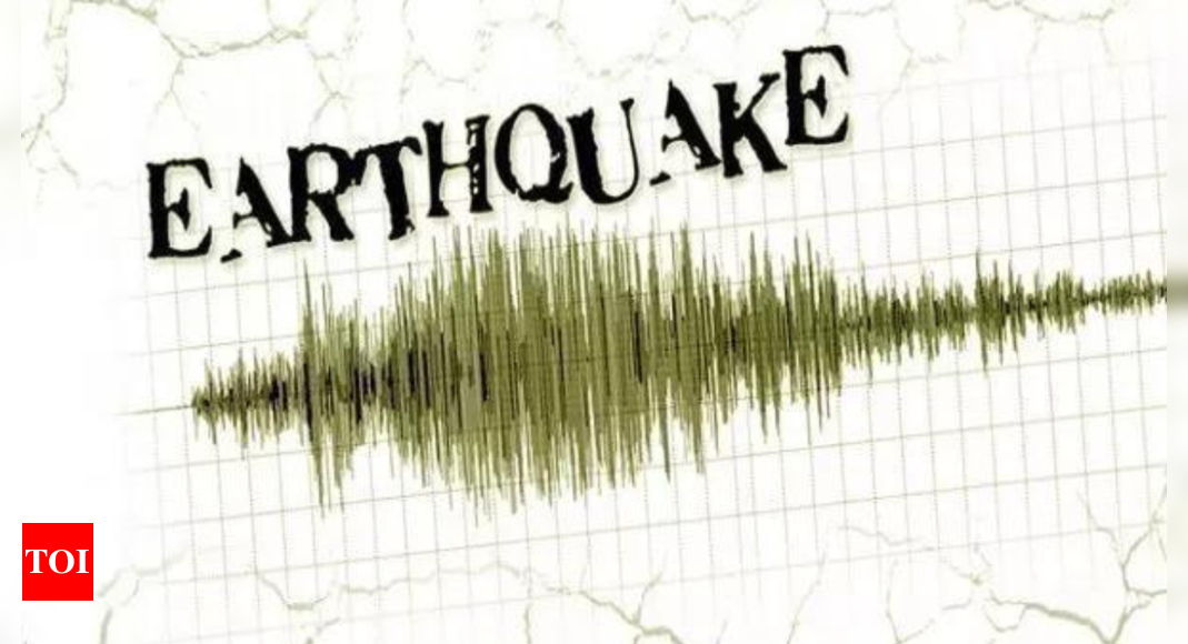 4.4 magnitude earthquake hits Afghanistan – Times of India