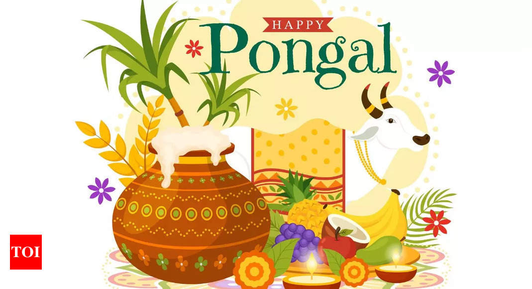 Happy Pongal 2024 Top 50 wishes, messages, and quotes to share with